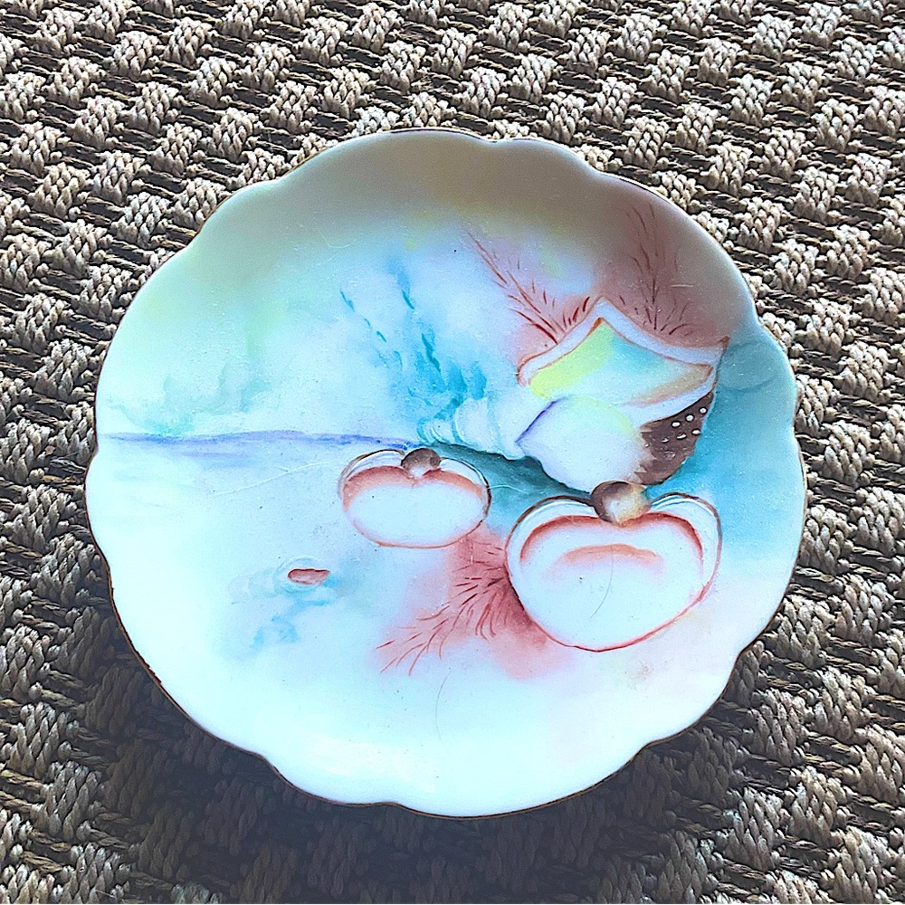 Vintage German J.C.& G.H.B. Co Findlay Bavaria Hand Painted 7” Plate